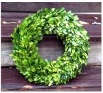 Product Description: Medium Boxwood Wreath</br></br>14 inch round</br> Medium 14" Boxwood Wreath